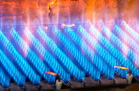Bucklerheads gas fired boilers